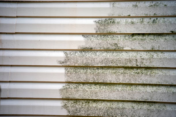 Reliable Greenhills, OH Siding Installation & Repair Solutions